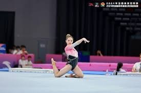 SaaS面板选择标准